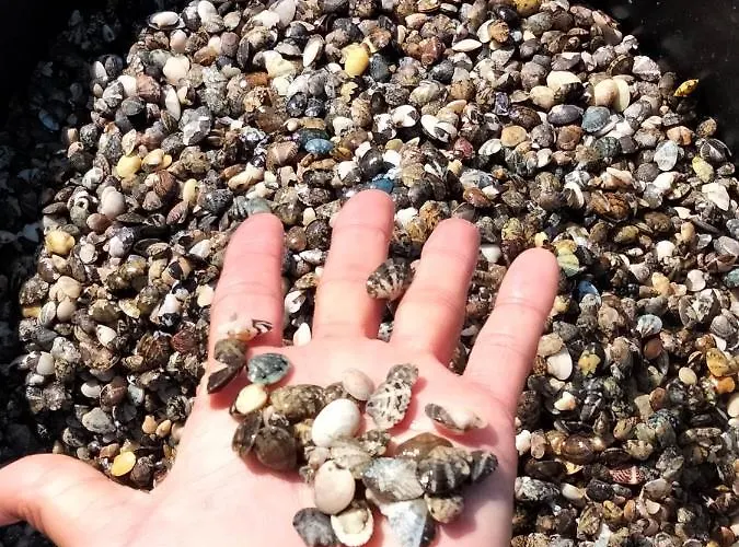 Casa Al Lado Del Mar Vakantiehuis *